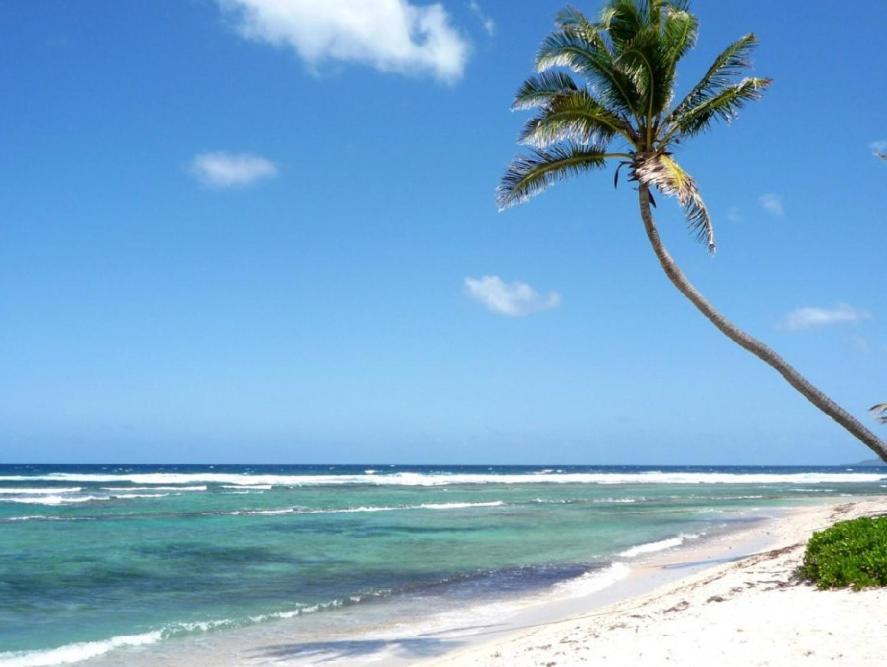 Caribbean Studios Tropicana With Pool - Playa Los Corales Пунта Кана Екстериор снимка